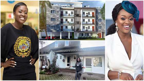 Fella Makafui and 2 other famous female celebrities who have real estate businesses