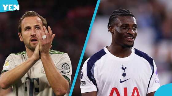 Harry Kane breaks silence on reported sensational Tottenham return