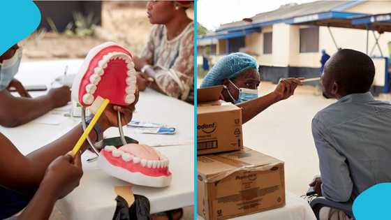 How much does it cost to visit the dentist in Ghana in 2026? Details emerge