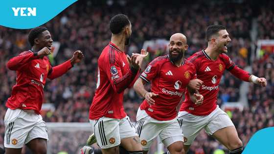 Man United stars call for Champions League football after Spurs win