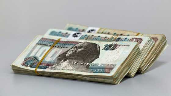 Egypt secures $5 bn additional loan from IMF as pound plunges