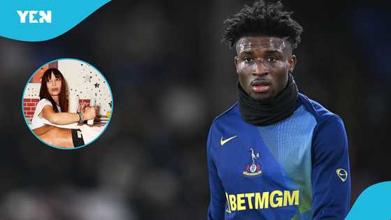 Can Kudus play at the World Cup? How a Serbian doctor can use horse placenta to cure him