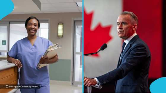 Canada targets 32,000 skilled foreign workers, announces tool to check jobs and salaries