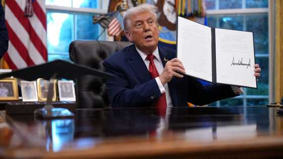 Trump allies to control TikTok under new US deal