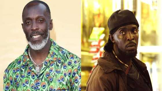 Michael K. Williams: The Wire, 12 Years A Slave Actor Found Dead at His Apartment