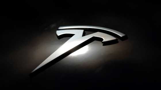 Tesla sales plunge further in France, down 59% in April