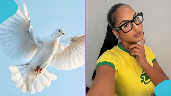 Ayzia J. Toledo: Heartbreak as popular content creator and model passes away at 22