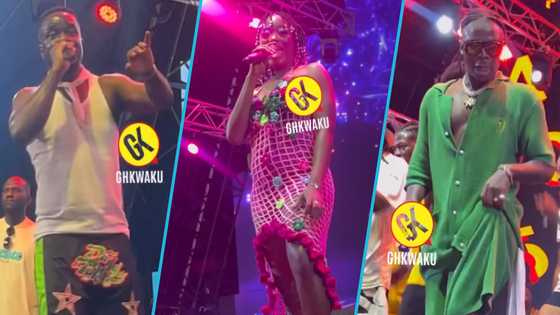 Tidal Rave Festival: Sarkodie, Efya, Stonebwoy, and other headline artistes wow fans at 2023 edition