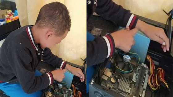 Genius kid: Grandpa bursts with pride as 7-year-old grandson builds computers from scratch