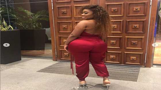 Moesha Boduong, Juliet Ibrahim, Jackie Appiah, four other celebrities drop first wild photos in 2019