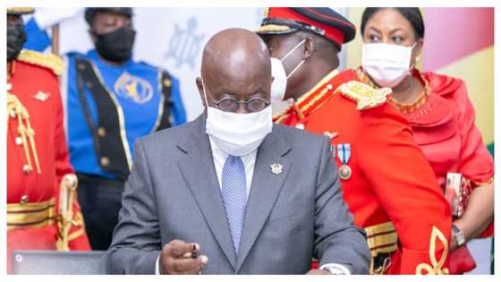 Vetting of Akufo-Addo’s ministerial nominees to start on February 10