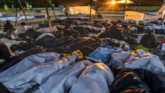'Not coping': Crisis at overcrowded Dutch asylum centre