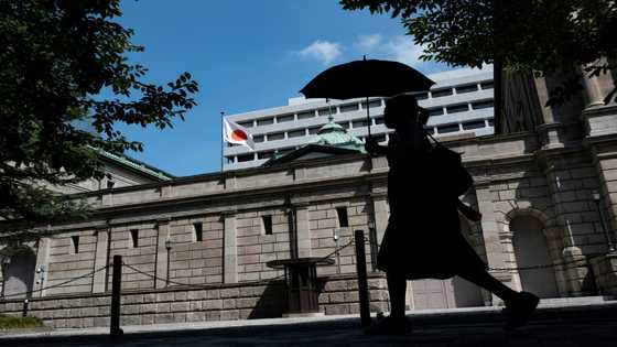 Markets sink, dollar gains as Fed hints at fresh rate hike