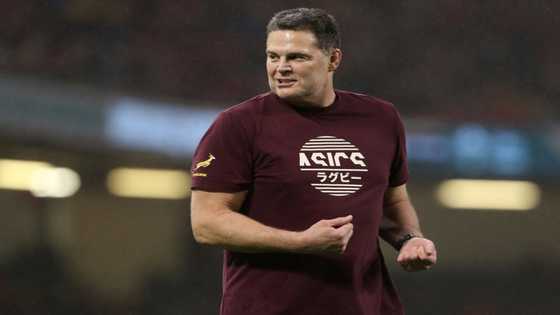 Springbok chief Erasmus insists latest tweets not aimed at referees