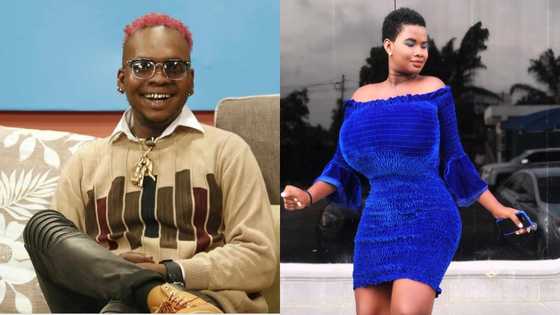 Pamela Odame was 'ashawo'; I had a one night stand with her - Nana Tornado drops top secret in video