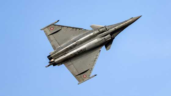 European arms imports nearly double over Ukraine: study