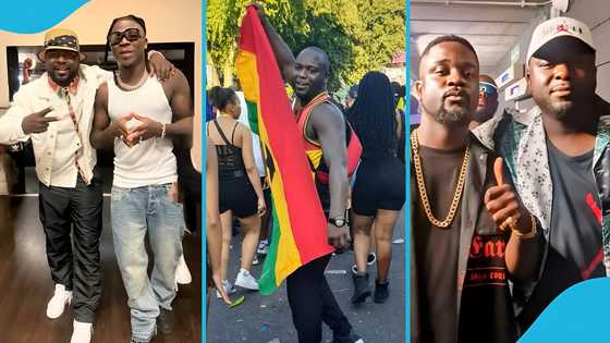 Tragedy strikes as Ghanaian man reportedly dies at music festival in Belgium