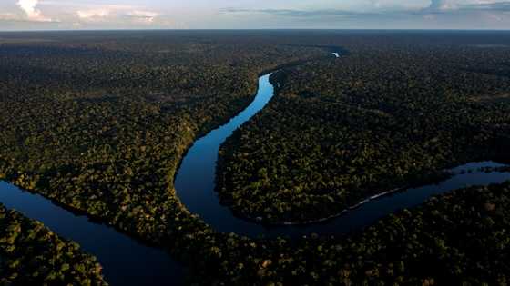 Can biodiversity credits unlock billions for nature?