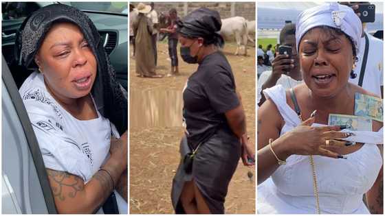 Afia Schwar exposes herself in call with chichinga man to prove she bought a cow for her dad's funeral, audio drops