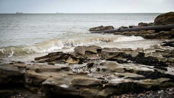 Raw sewage blights once-idyllic beaches on Isle of Wight