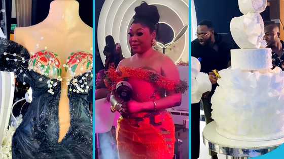 Adwoa Jannis cuts 4 giant cakes, gathers Ghanaian celebs at her 35th birthday party, videos drop