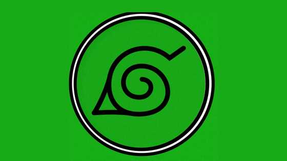 Hidden Leaf Village background, symbol, clans, real life location