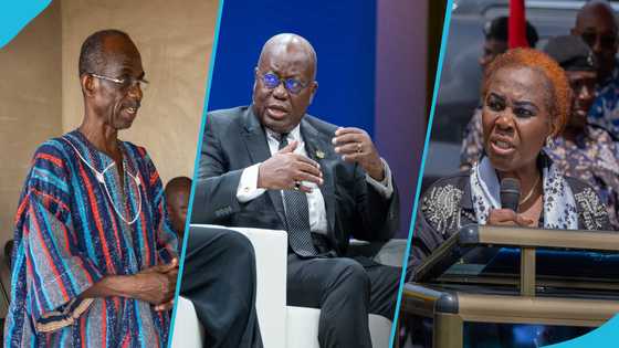Cecilia Dapaah will be cleared from “harbor Of corruption”: Asiedu Nketia jabs Akufo-Addo administration