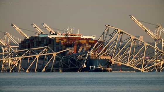 Impact of Baltimore port closure on global supply chains