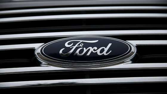 Strong fleet sales offset electric losses at Ford