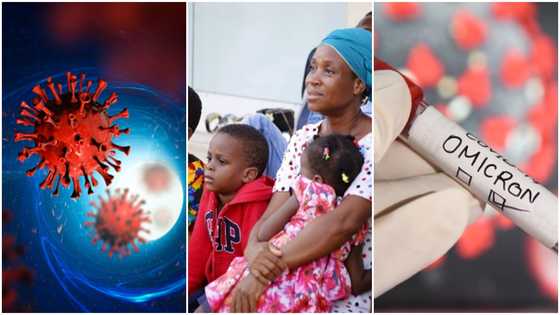 New ‘Kraken’ variant of Covid-19 described as extremely contagious