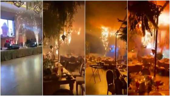 Confusion as fireworks disrupt couple's wedding, guests scream in viral video