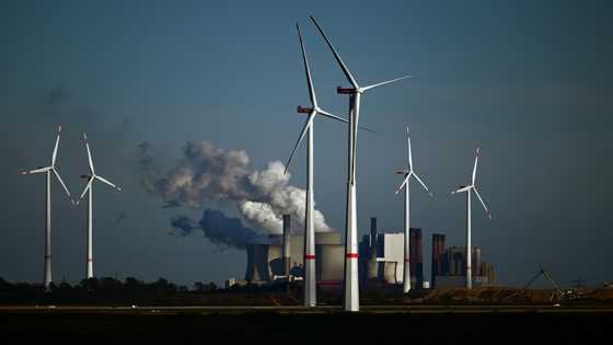 IEA, ECB urge Europe to move faster on energy transition