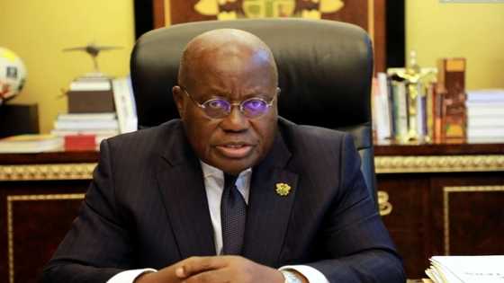 Africa needs a continental lender of last resort – Akufo-Addo