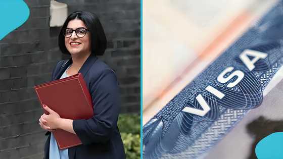 UK Ancestry Visa: Government lists activities foreigners are not allowed to do