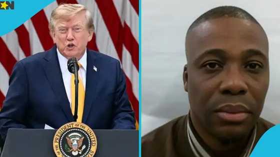US government publishes details of 30 Nigerians facing deportation over alleged crimes