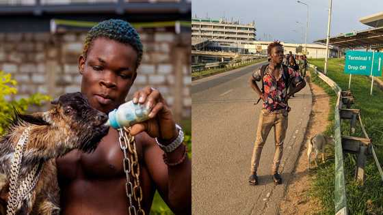 AY Poyoo lands in Nigeria, takes picture at Lagos airport with his goat