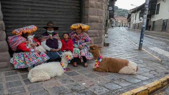 Peru tourism industry in 'free fall' as Machu Picchu closed by protests