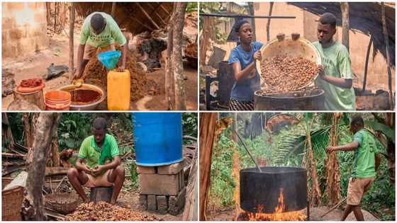 Anthony Thompson: Meet student in his 20s who produces palm oil to take care of himself