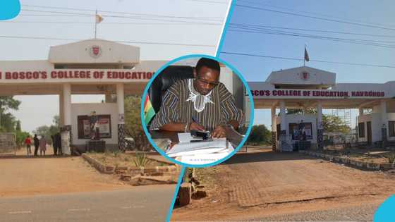 Local resident defends St. John Bosco College principal amid calls for removal