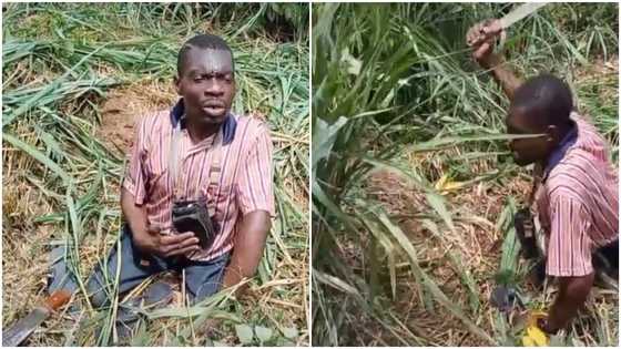 Disabled man who weeds for a living melts hearts in video with inspiring story; Folks applaud him