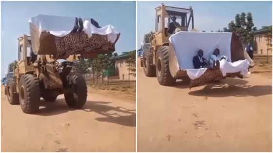 Bride and groom in gown and suit use caterpillar machine for their wedding; video stirs reactions