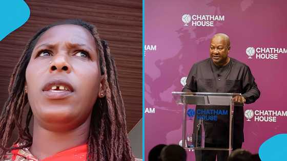 “In hot waters”: TikToker in trouble for making cow and ritual accusations against John Mahama