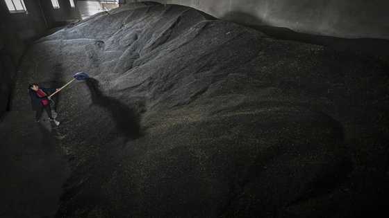 Eastern EU farmers fume over Ukraine grain influx
