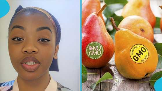 Ghanaian lady warns government against relaxing policies to allow GMO implementation in agriculture