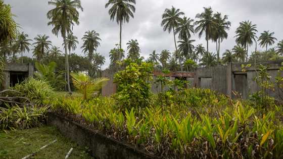 From Club Med to Beverly Hills: Assinie, the Ivorian Riviera