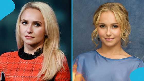 "A fatal pill": Fans express anger as popular actress Hayden Panettiere’s suspected cause of death emerges