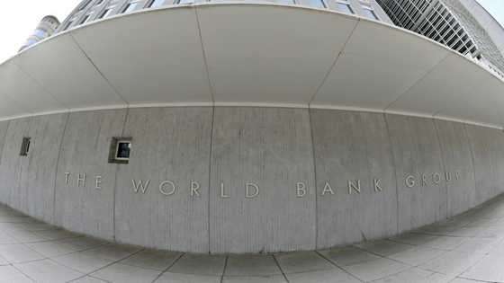 World Bank cuts growth forecast on trade tumult