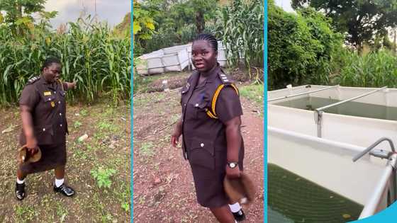 Sunyani Central Prison officer shows the corn, fish, and crops grown by inmates in a video