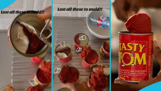 Ghanaian lady calls out Tasty Tom over alleged spoilt tomato paste