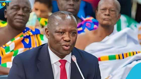 Lands Minister questions NPP's credibility in criticising gov't over galamsey: "Give us a break"